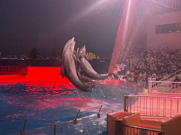 マリンワールド海の中道に投稿された画像（2022/8/14）