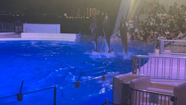 マリンワールド海の中道に投稿された画像（2022/8/14）