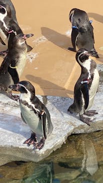 アクアワールド茨城県大洗水族館に投稿された画像（2022/8/14）
