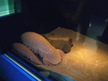 名古屋港水族館に投稿された画像（2022/8/14）