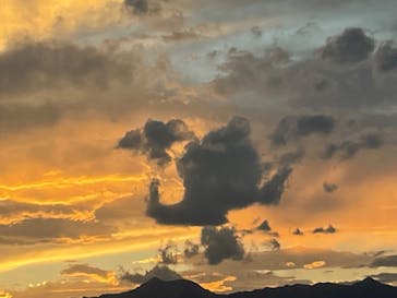 東京サマーランドに投稿された画像（2022/8/14）