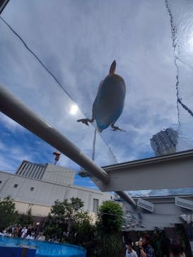 サンシャイン60展望台に投稿された画像（2022/8/14）