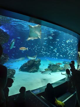 サンシャイン60展望台に投稿された画像（2022/8/14）