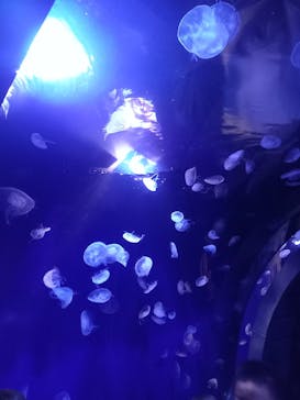 サンシャイン60展望台に投稿された画像（2022/8/14）