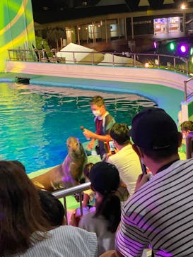 南知多ビーチランド＆南知多おもちゃ王国に投稿された画像（2022/8/14）