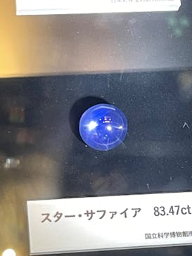 特別展「宝石　地球がうみだすキセキ」（名古屋市科学館　理工館地下２階イベントホール）に投稿された画像（2022/8/14）