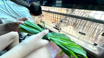 群馬サファリパークに投稿された画像（2022/8/14）