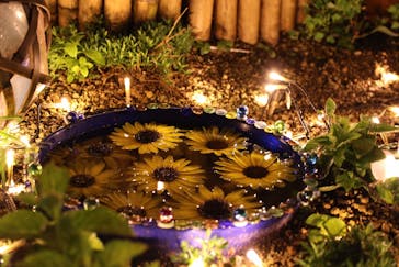 せんだい農業園芸センター　みどりの杜に投稿された画像（2022/8/14）