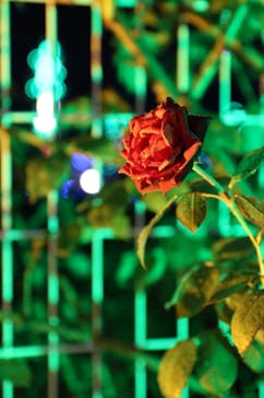 せんだい農業園芸センター　みどりの杜に投稿された画像（2022/8/14）