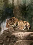 天王寺動物園に投稿された画像（2022/8/15）