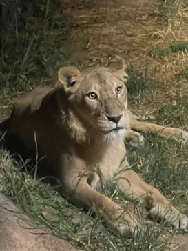 天王寺動物園に投稿された画像（2022/8/14）