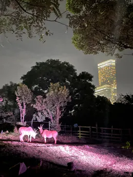 天王寺動物園に投稿された画像（2022/8/14）