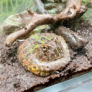 サンシャイン水族館に投稿された画像（2022/8/14）