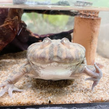 サンシャイン水族館に投稿された画像（2022/8/14）