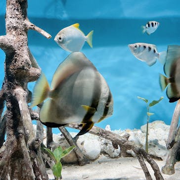 サンシャイン水族館に投稿された画像（2022/8/14）