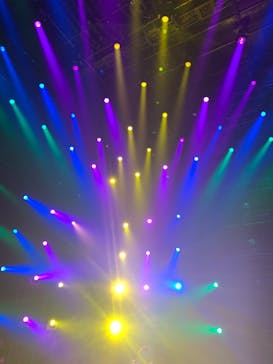 森ビル デジタルアート ミュージアム：エプソン チームラボボーダレスに投稿された画像（2022/8/14）