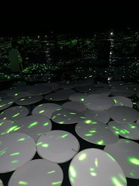 森ビル デジタルアート ミュージアム：エプソン チームラボボーダレスに投稿された画像（2022/8/14）