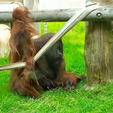 よこはま動物園ズーラシアに投稿された画像（2022/8/14）