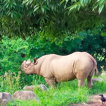 よこはま動物園ズーラシアに投稿された画像（2022/8/14）