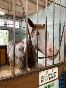 牧歌の里に投稿された画像（2022/8/14）