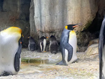 仙台うみの杜水族館に投稿された画像（2022/8/14）