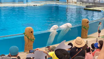 横浜・八景島シーパラダイスに投稿された画像（2022/8/14）