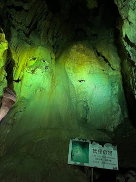 あぶくま洞に投稿された画像（2022/8/14）