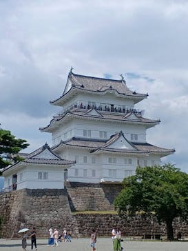 小田原城に投稿された画像（2022/8/14）