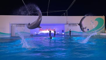 南知多ビーチランド＆南知多おもちゃ王国に投稿された画像（2022/8/14）