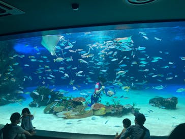 サンシャイン水族館に投稿された画像（2022/8/14）