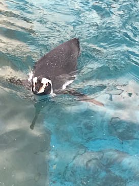 南知多ビーチランド＆南知多おもちゃ王国に投稿された画像（2022/8/14）