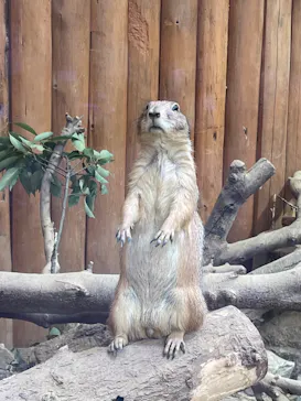 神戸どうぶつ王国に投稿された画像（2022/8/14）