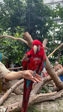 神戸どうぶつ王国に投稿された画像（2022/8/14）