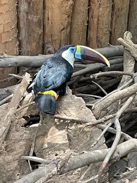 神戸どうぶつ王国に投稿された画像（2022/8/14）