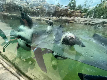 神戸どうぶつ王国に投稿された画像（2022/8/14）