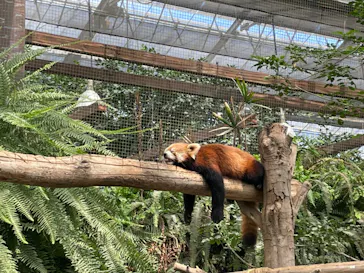 神戸どうぶつ王国に投稿された画像（2022/8/14）