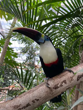 神戸どうぶつ王国に投稿された画像（2022/8/14）