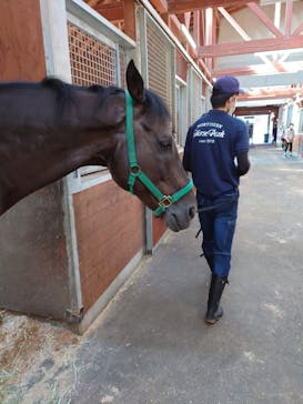 ノーザンホースパークに投稿された画像（2022/8/14）