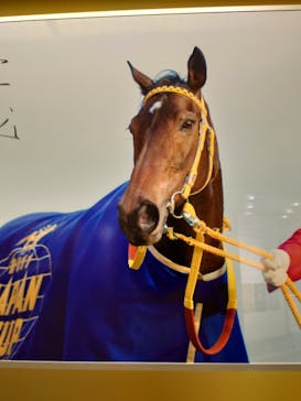 ノーザンホースパークに投稿された画像（2022/8/14）