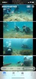 DIVING LIFESTYLE CREATOR SEA REXに投稿された画像（2022/8/14）