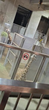 よこはま動物園ズーラシアに投稿された画像（2022/8/15）