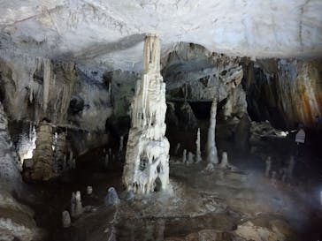 あぶくま洞に投稿された画像（2022/8/15）