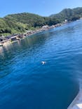 伊根湾めぐり遊覧船に投稿された画像（2022/8/15）