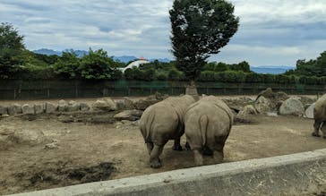 群馬サファリパークに投稿された画像（2022/8/15）