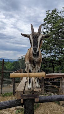 群馬サファリパークに投稿された画像（2022/8/15）