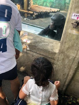 伊豆シャボテン動物公園に投稿された画像（2022/8/15）