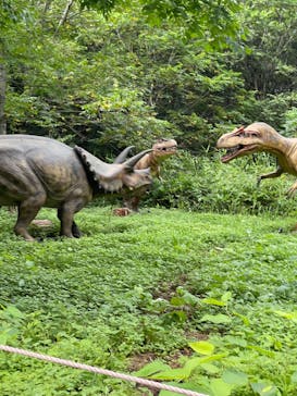 安比高原に投稿された画像（2022/8/15）