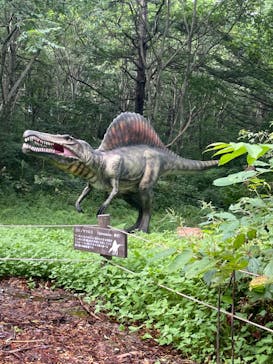 安比高原に投稿された画像（2022/8/15）