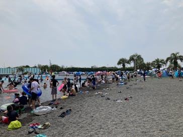 蓮沼ウォーターガーデンに投稿された画像（2022/8/15）