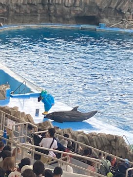 名古屋港水族館に投稿された画像（2022/8/15）